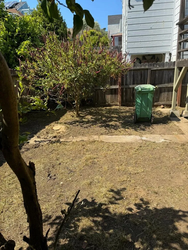 Trusted landscape installation in Redwood City, CA - General Gardening Services