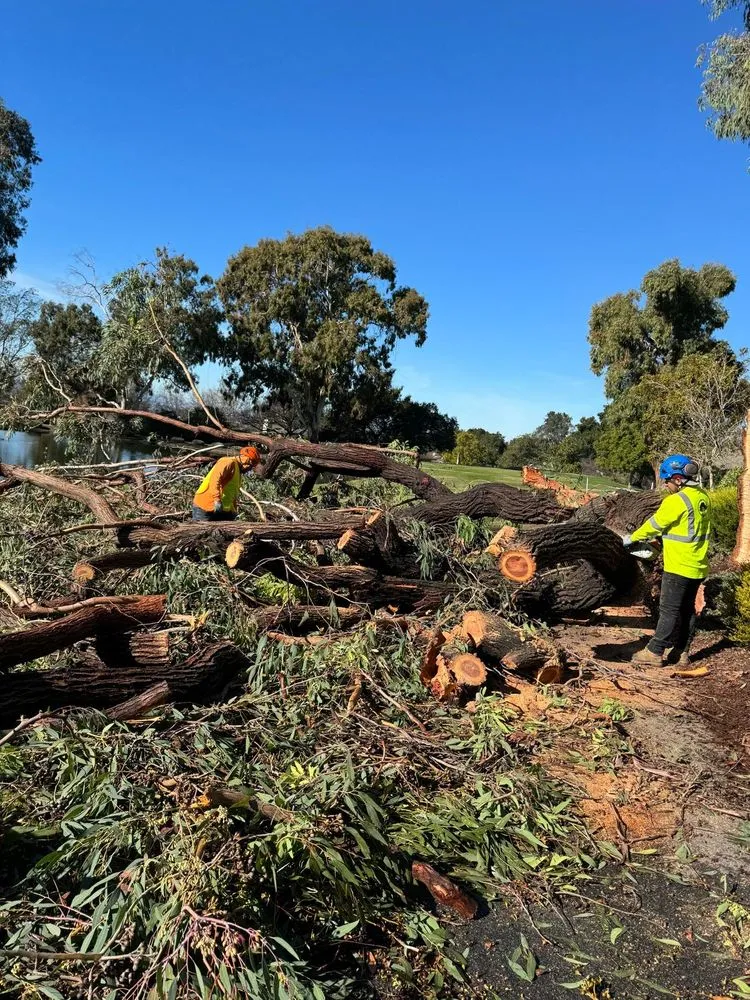 Reliable yard maintenance in Redwood City, CA by General Gardening Services