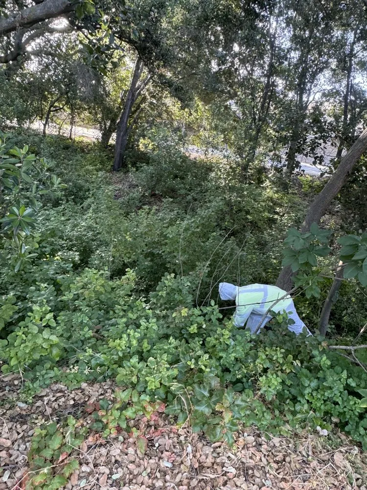 Local lawn mowing service in Redwood City, CA by General Gardening Services