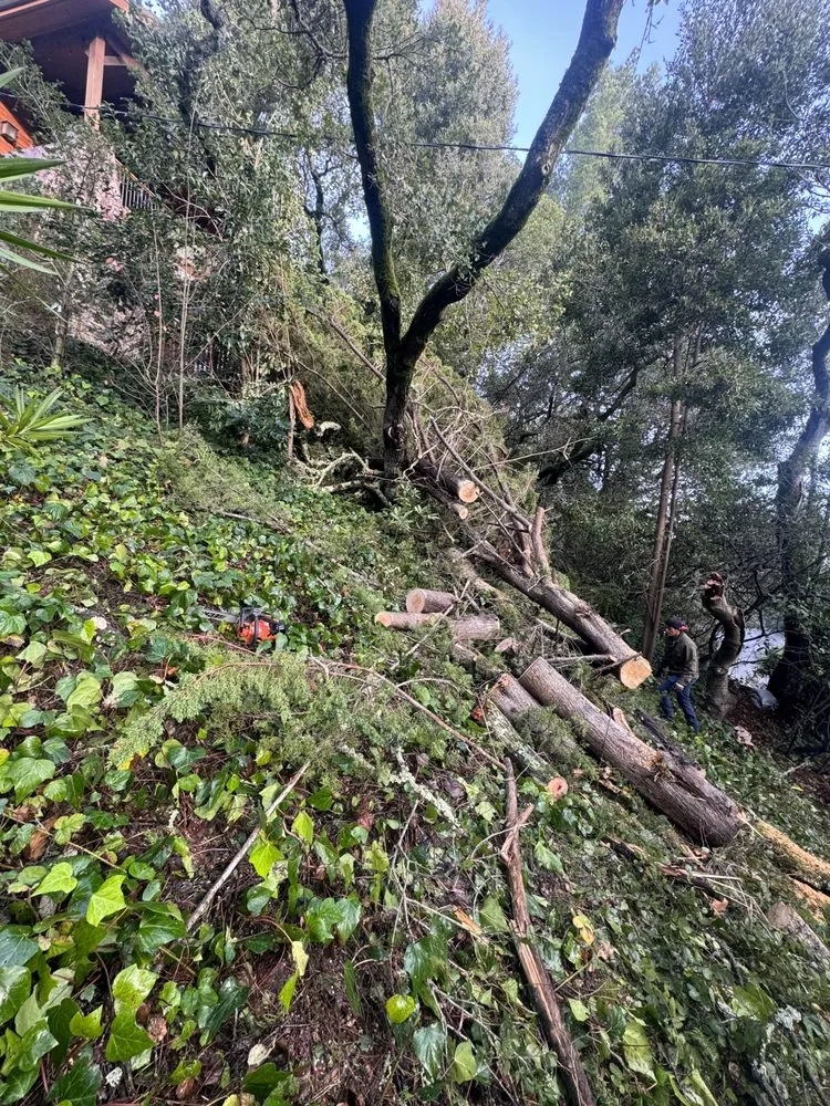 Top-rated garden landscaping for residential properties across Redwood City, CA - General Gardening Services