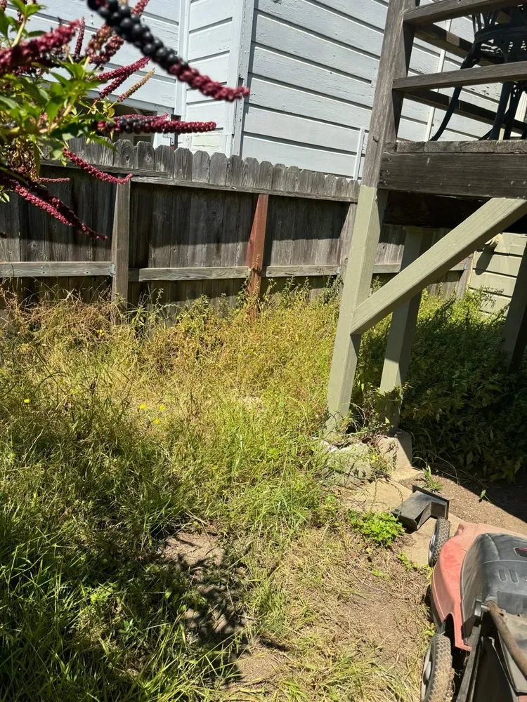 Affordable landscape installation for year-round maintenance across Redwood City, CA - General Gardening Services