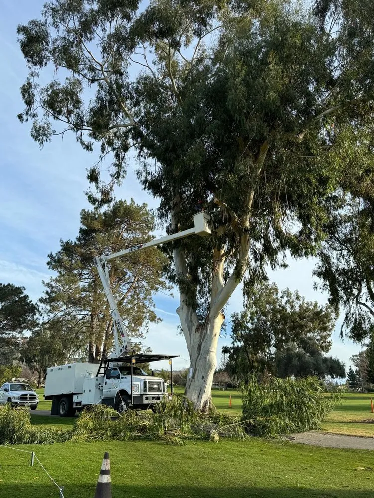 Local residential landscaping in Redwood City, CA - General Gardening Services