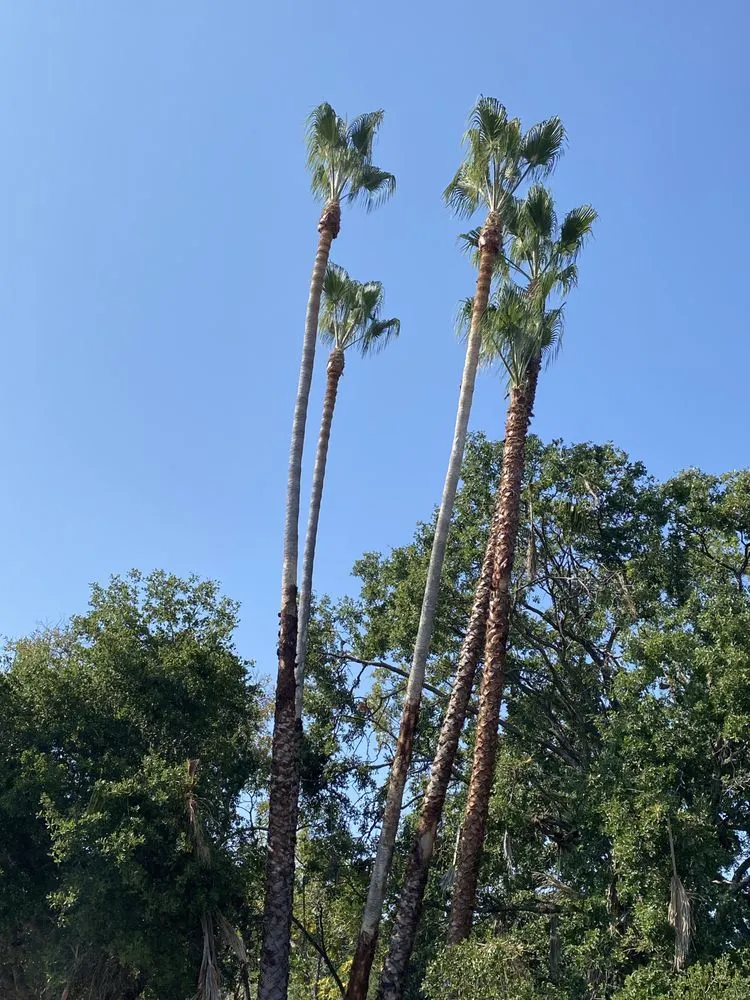 Local landscape installation near you in Redwood City, CA by General Gardening Services