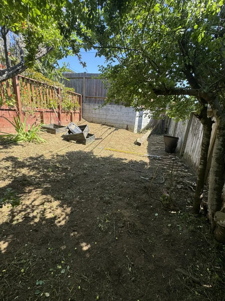 Expert landscaping services near you across Redwood City, CA - General Gardening Services