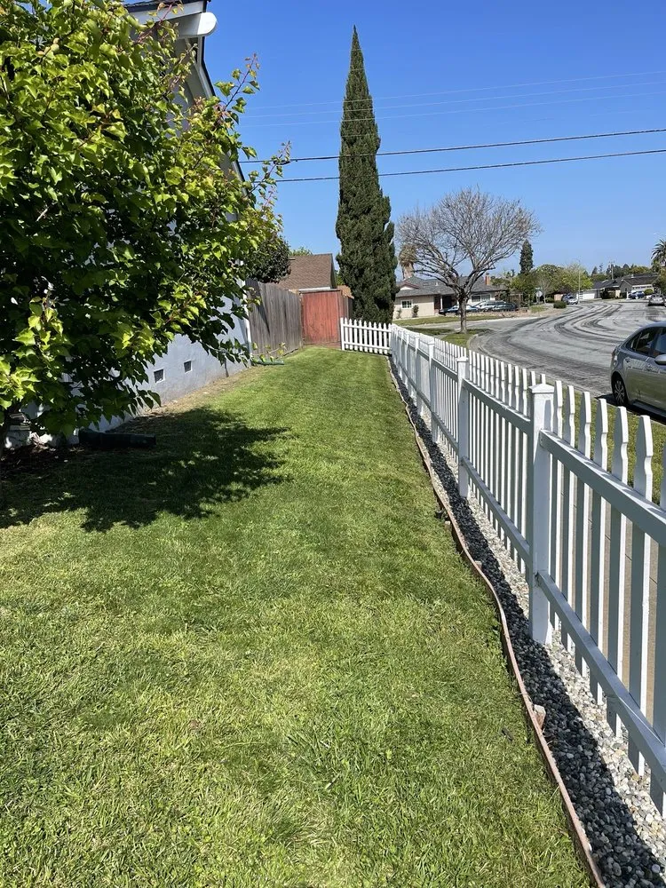 Professional landscaping services experts serving Redwood City, CA - General Gardening Services