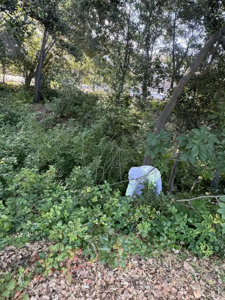 Custom landscape design experts serving Redwood City, CA - General Gardening Services