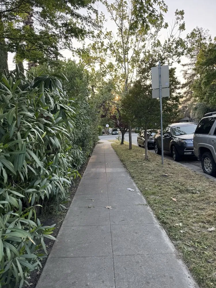 Trusted yard cleanup service with custom design in Redwood City, CA by General Gardening Services