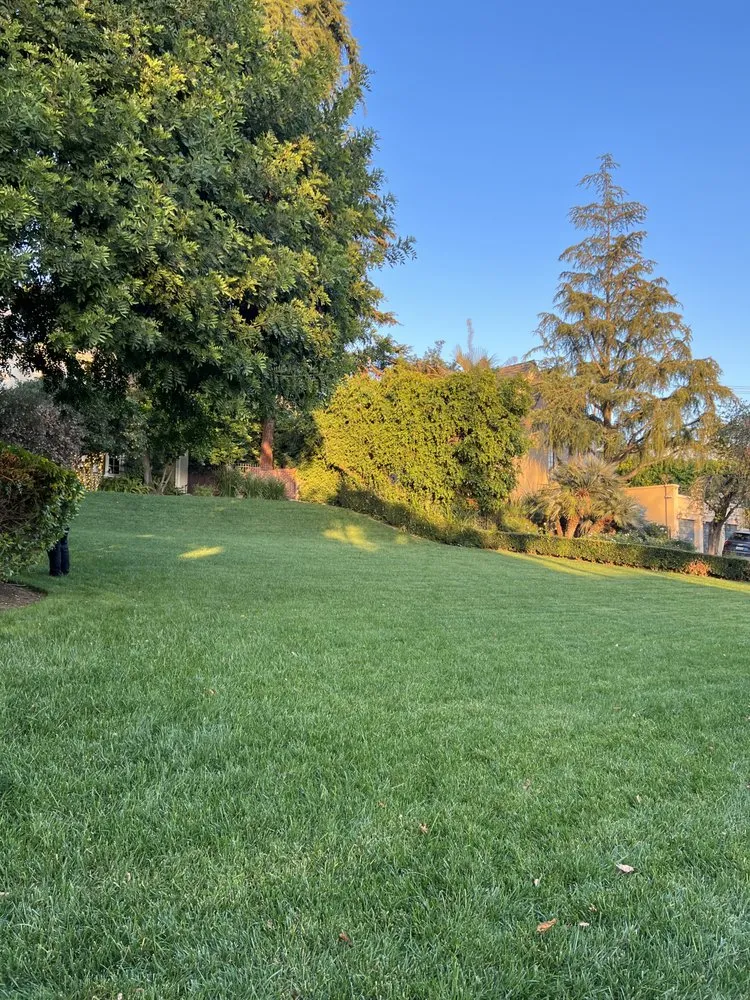 Trusted outdoor landscaping for year-round maintenance in Los Angeles, CA by General Grounds Landscaping