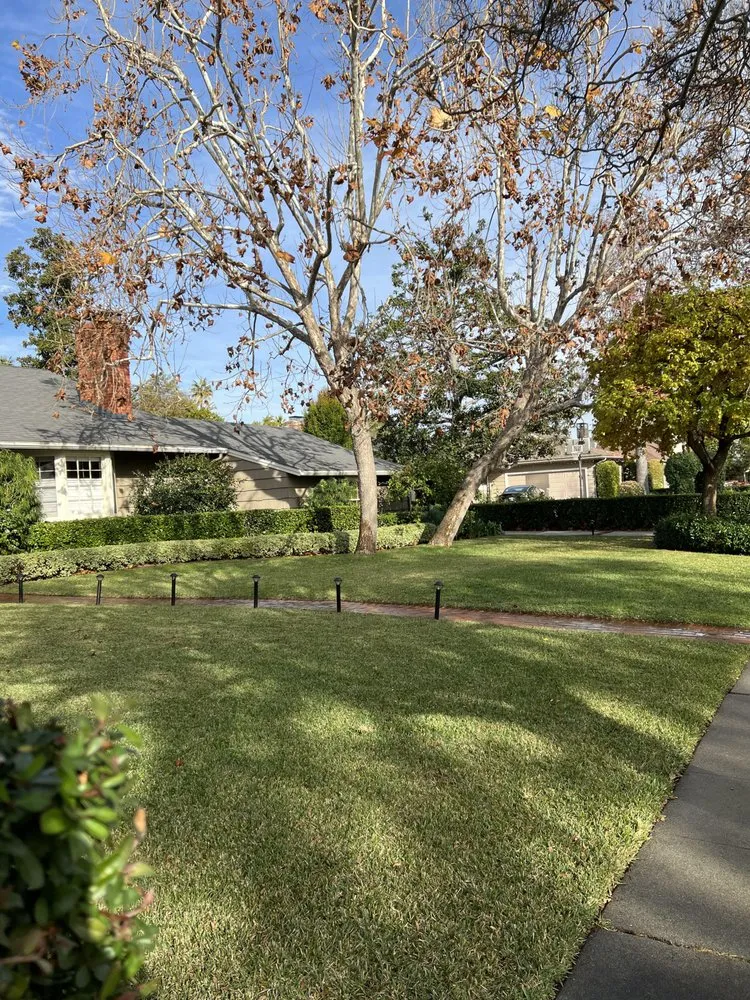 Custom landscape installation for outdoor upgrades across Los Angeles, CA - General Grounds Landscaping