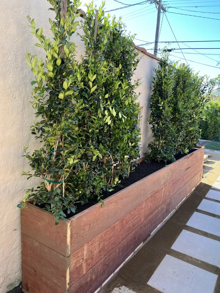 Expert landscaping services in Los Angeles, CA by General Grounds Landscaping