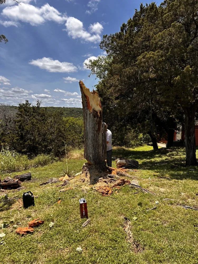 Reliable yard cleanup service in Alvarado, TX by General Labor and Repair