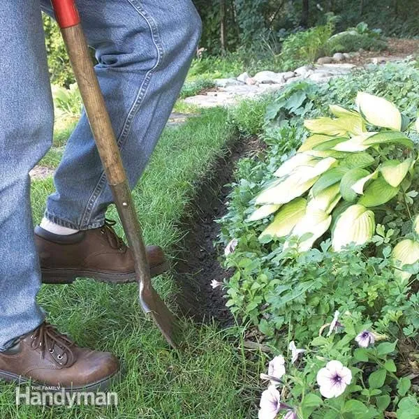Reliable yard maintenance for homes across Rockville, MD - General Land Maintenance