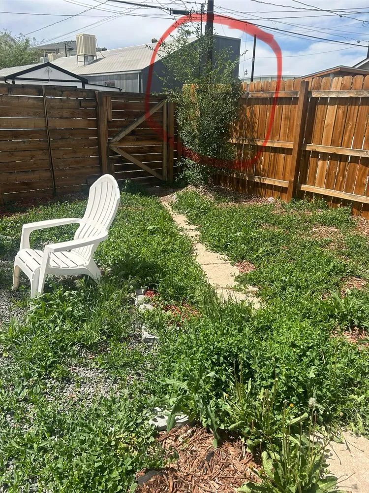 Custom lawn care service in Aurora, CO by General Landscaping