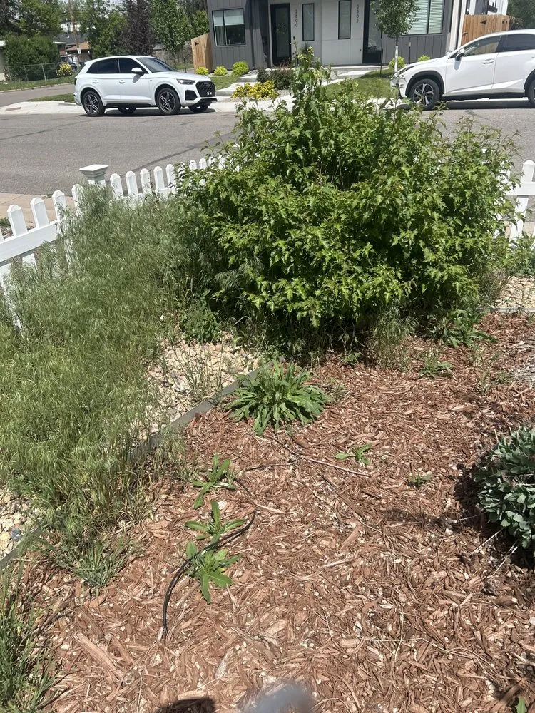 Trusted residential landscaping for residential properties in Aurora, CO by General Landscaping