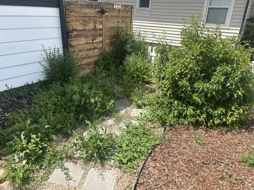 Local yard maintenance experts serving Aurora, CO - General Landscaping