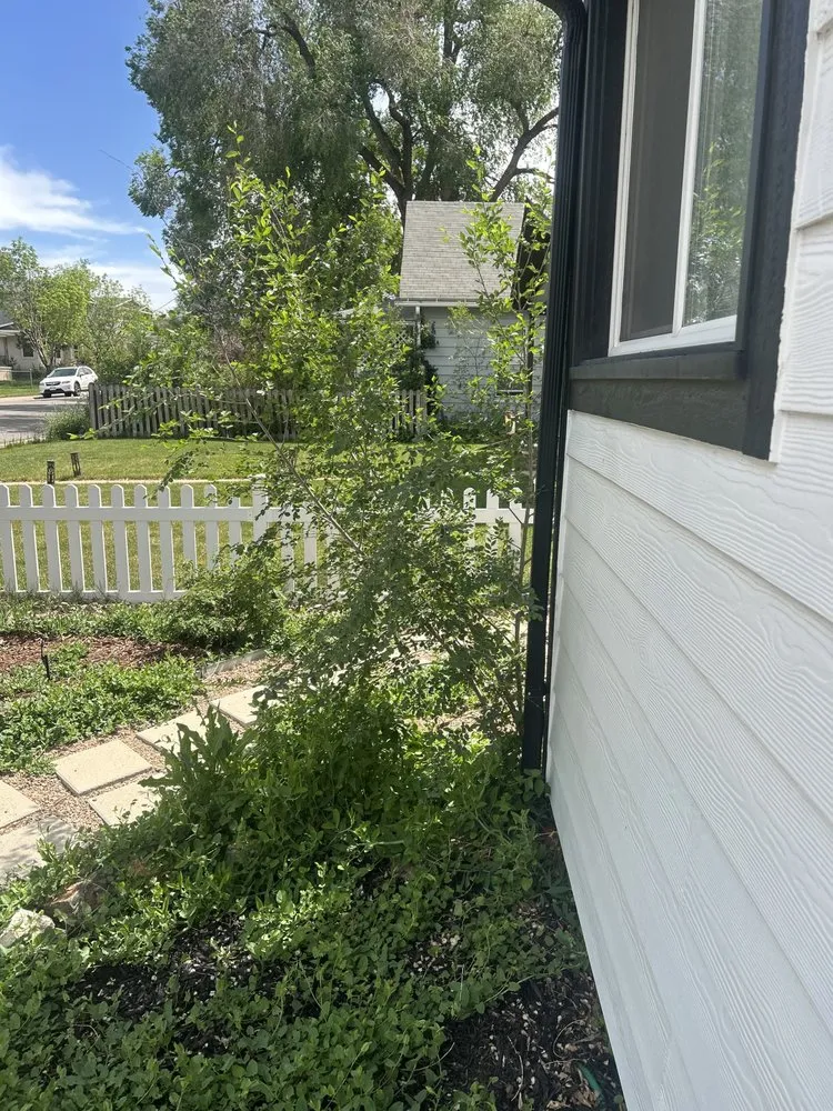 Custom garden landscaping for homes in Aurora, CO by General Landscaping