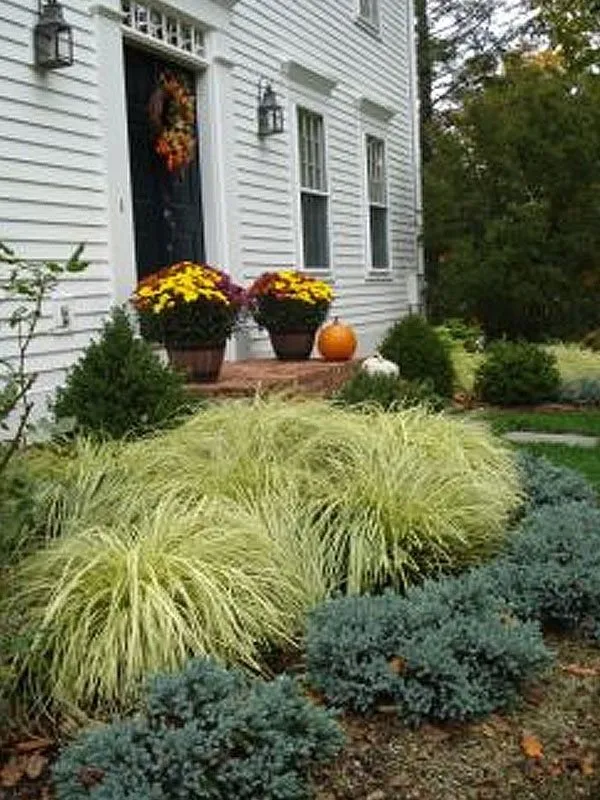 Custom landscaping services experts serving Glastonbury, CT - General Landscaping