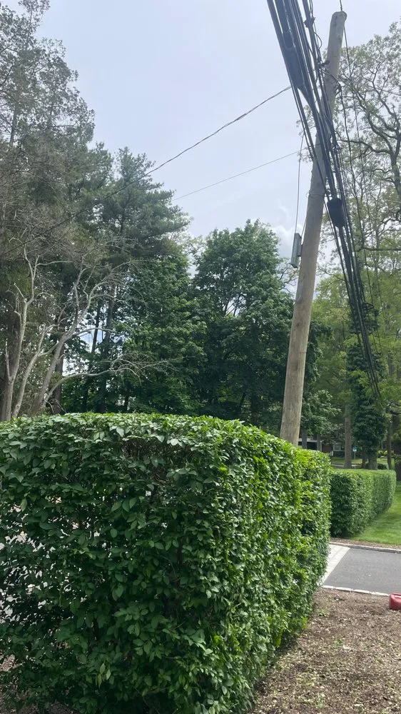 Custom lawn care service for beautiful yards in Huntington Station, NY by General Landscaping