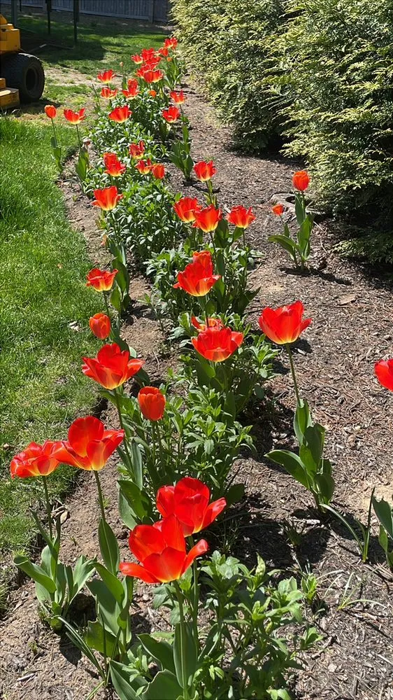 Custom garden landscaping with custom design in Huntington Station, NY by General Landscaping