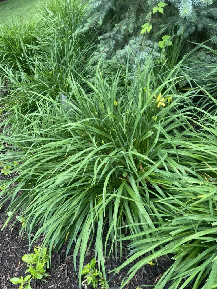 Trusted outdoor landscaping in Huntington Station, NY by General Landscaping