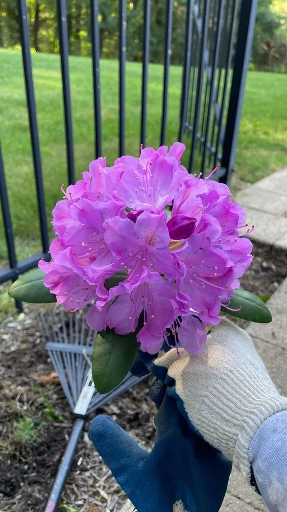 Affordable yard maintenance for outdoor upgrades across Huntington Station, NY - General Landscaping