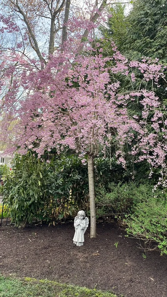 Trusted lawn mowing service in Huntington Station, NY by General Landscaping