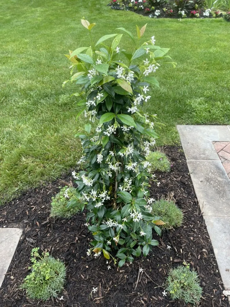 Professional outdoor landscaping in Huntington Station, NY - General Landscaping