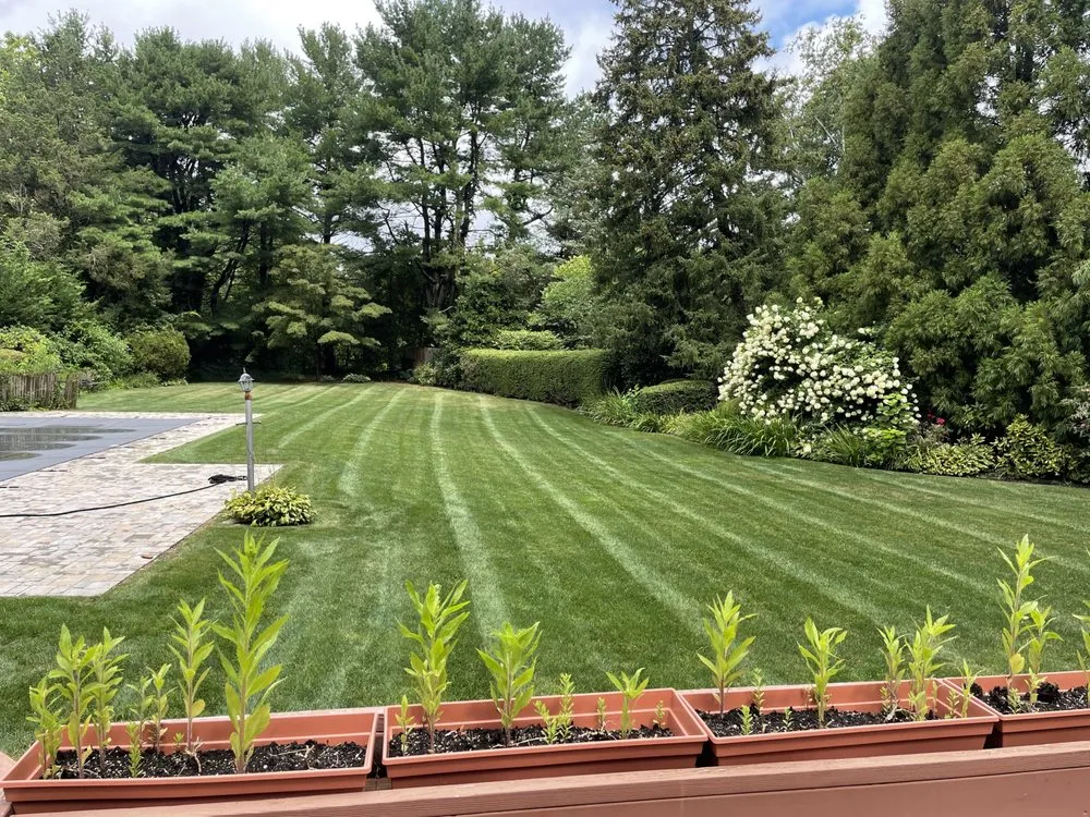 Affordable yard cleanup service near you in Huntington Station, NY by General Landscaping