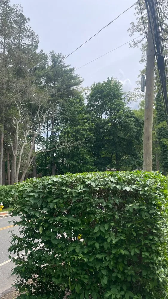 Custom outdoor landscaping near you in Huntington Station, NY by General Landscaping