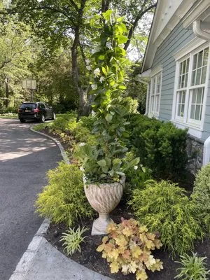 General Landscaping Logo