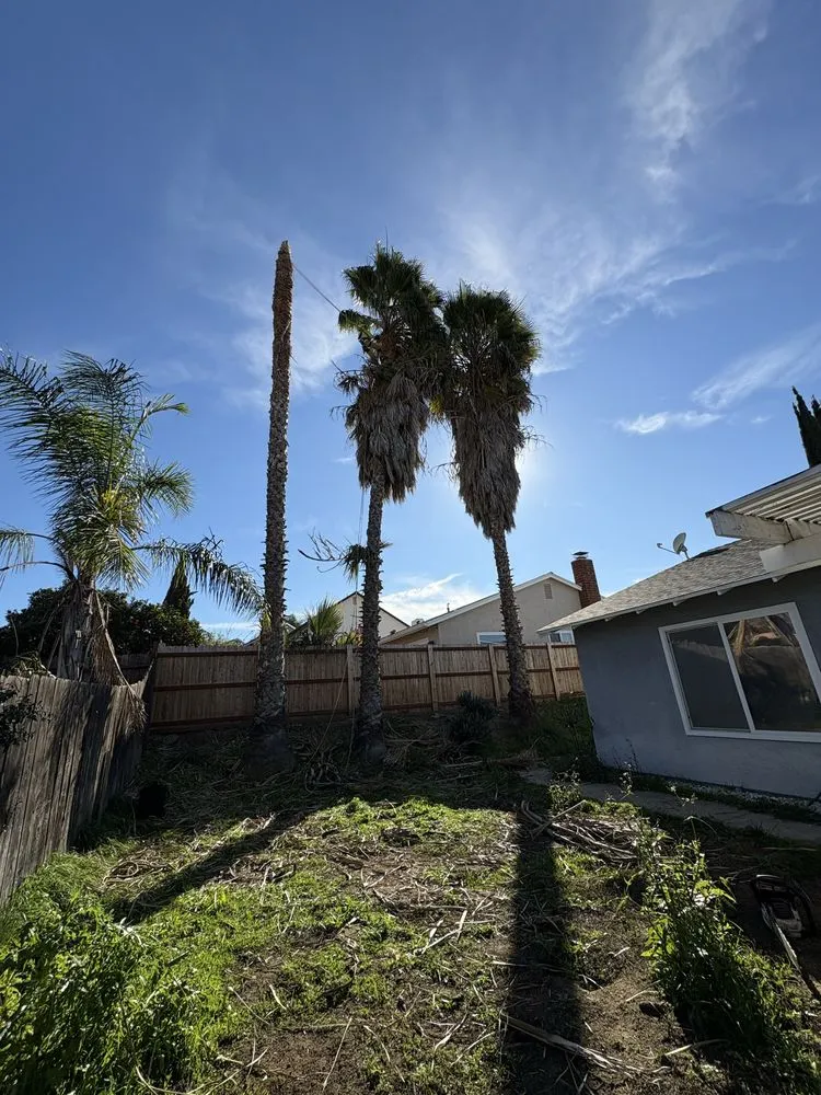 Trusted lawn care service experts serving Escondido, CA - General Landscaping Services