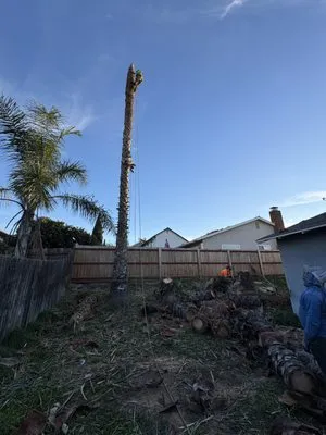 General Landscaping Services Logo