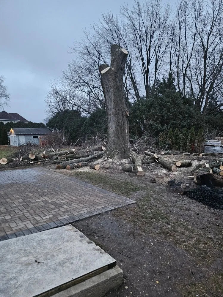 Reliable outdoor landscaping for residential properties in Harvard, IL by General Landscaping Services