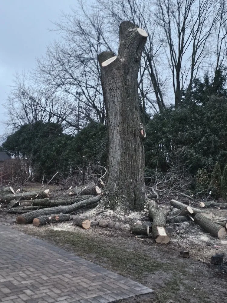 Affordable outdoor landscaping near you across Harvard, IL - General Landscaping Services