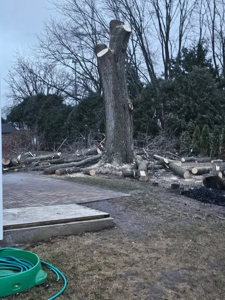 Local landscaping services in Harvard, IL - General Landscaping Services