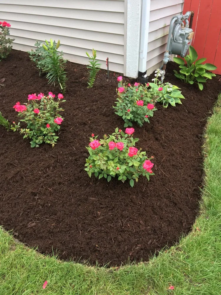 Reliable landscape design experts serving Harvard, IL - General Landscaping Services