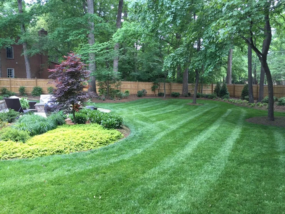 Custom yard maintenance for outdoor upgrades across Charlotte, NC - General Lawn Care