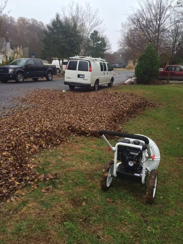 Custom landscaping services experts serving Charlotte, NC - General Lawn Care