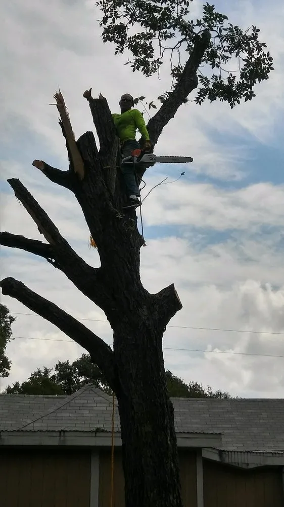 Trusted lawn mowing service for residential properties in Kyle, TX by General Lawn Care