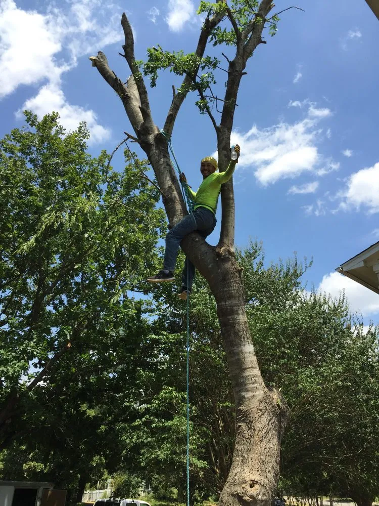 Custom residential landscaping near you across Kyle, TX - General Lawn Care