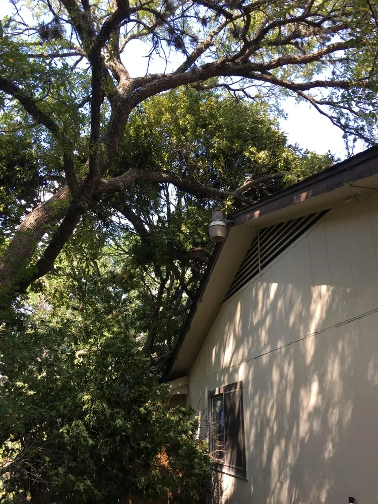 Top-rated landscape design experts serving Kyle, TX - General Lawn Care