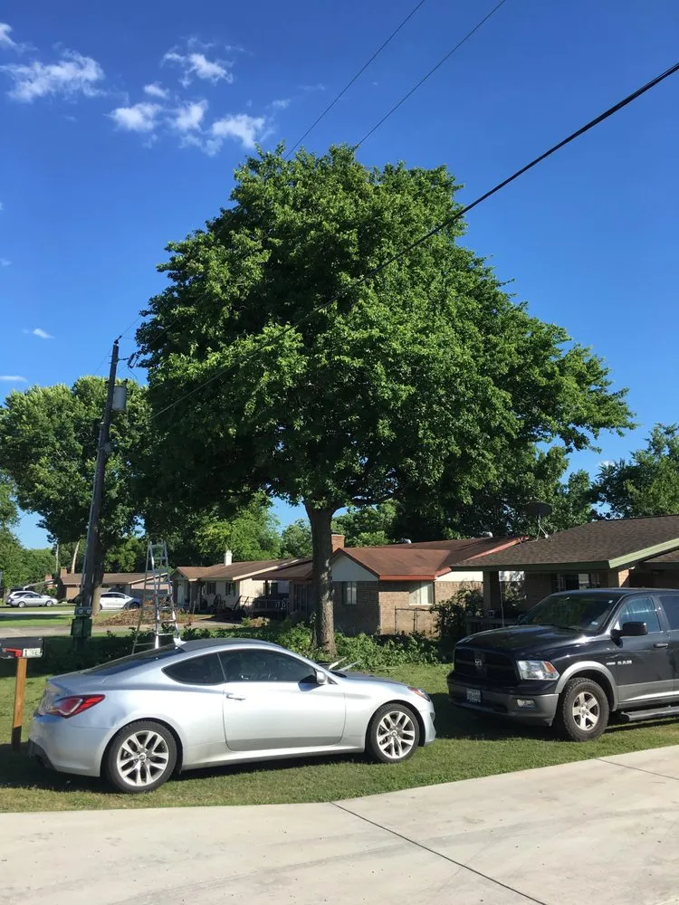 Custom lawn care service in Kyle, TX by General Lawn Care