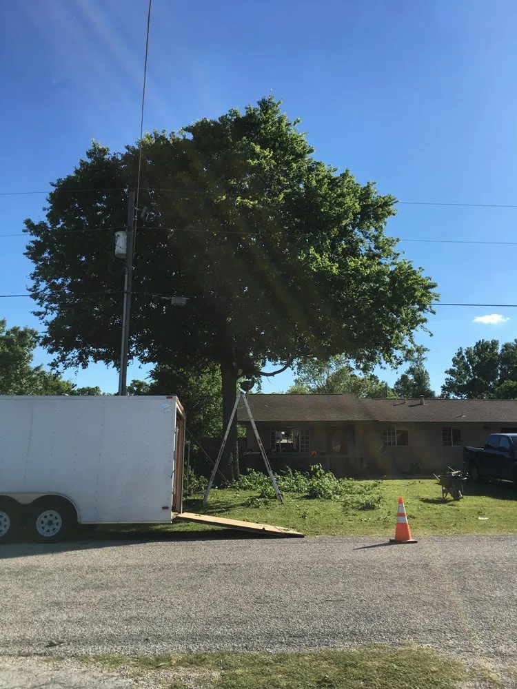 Expert lawn mowing service with custom design across Kyle, TX - General Lawn Care