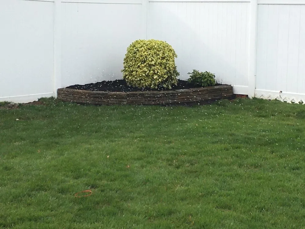 Expert landscape design in Franklin Square, NY - General lawn care landscaping