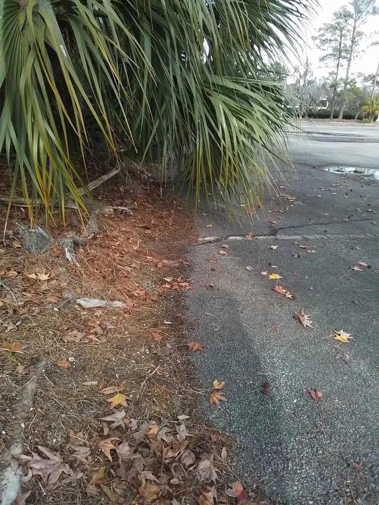 Reliable lawn care service in Pooler, GA - General Lawn Care Services