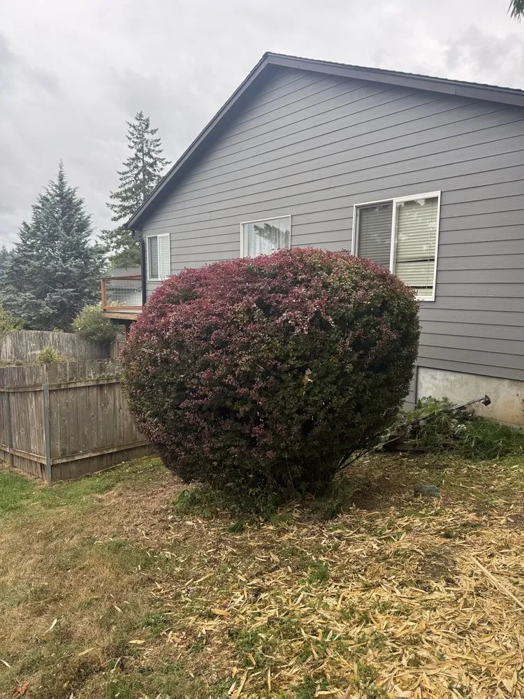 Affordable outdoor landscaping experts serving Washougal, WA - General Lawn Service