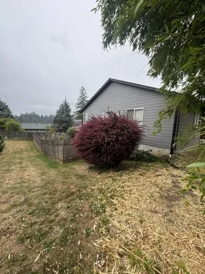 General Lawn Service