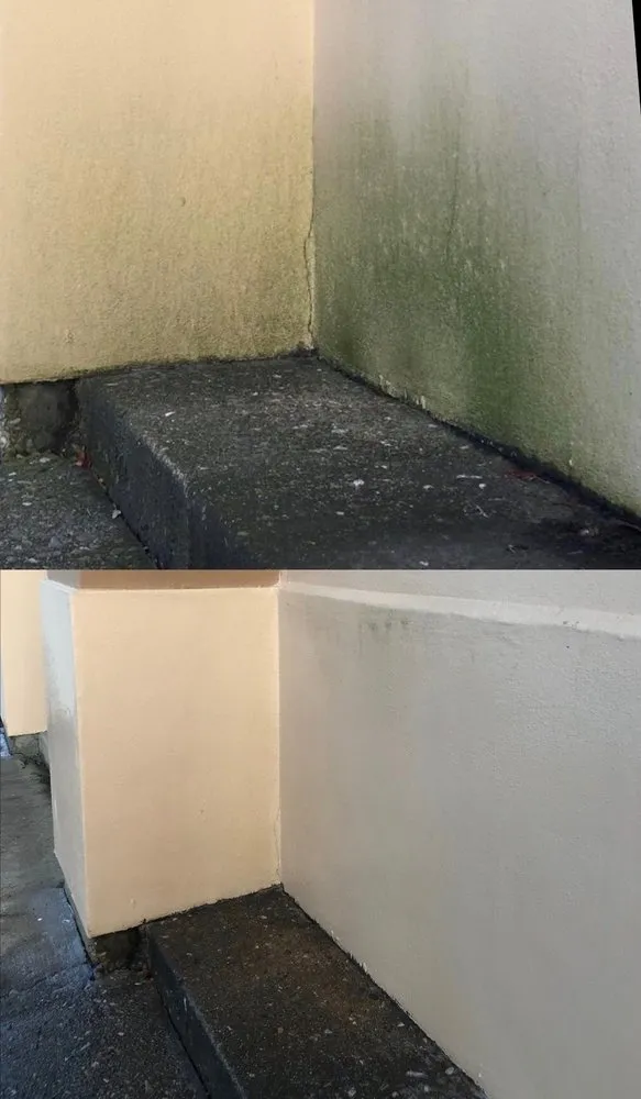 Top-rated yard maintenance for homes across Mission, TX - General Maintenance Services