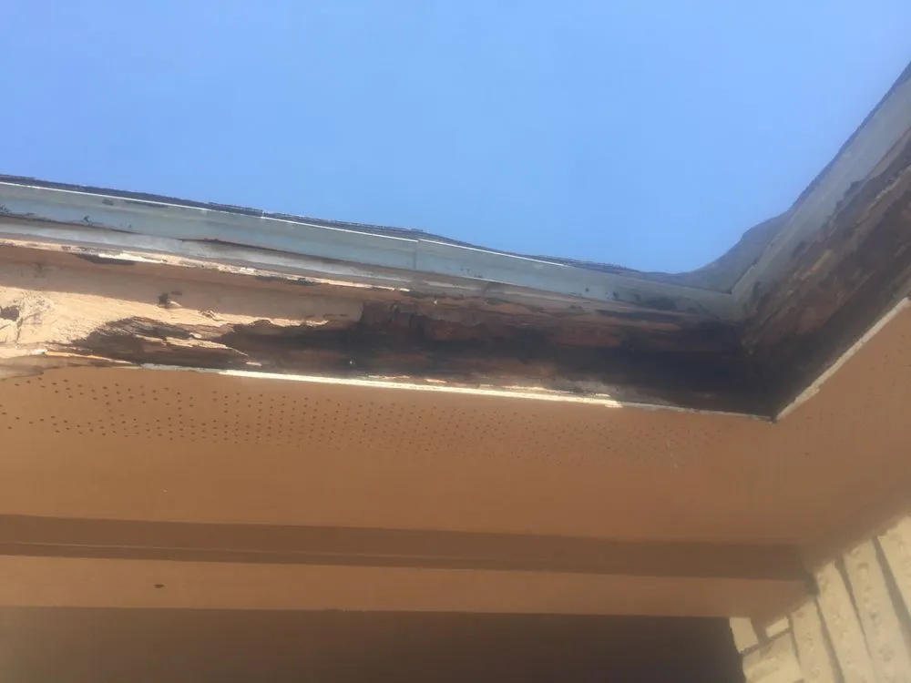 Professional landscape installation for outdoor upgrades across Mission, TX - General Maintenance Services