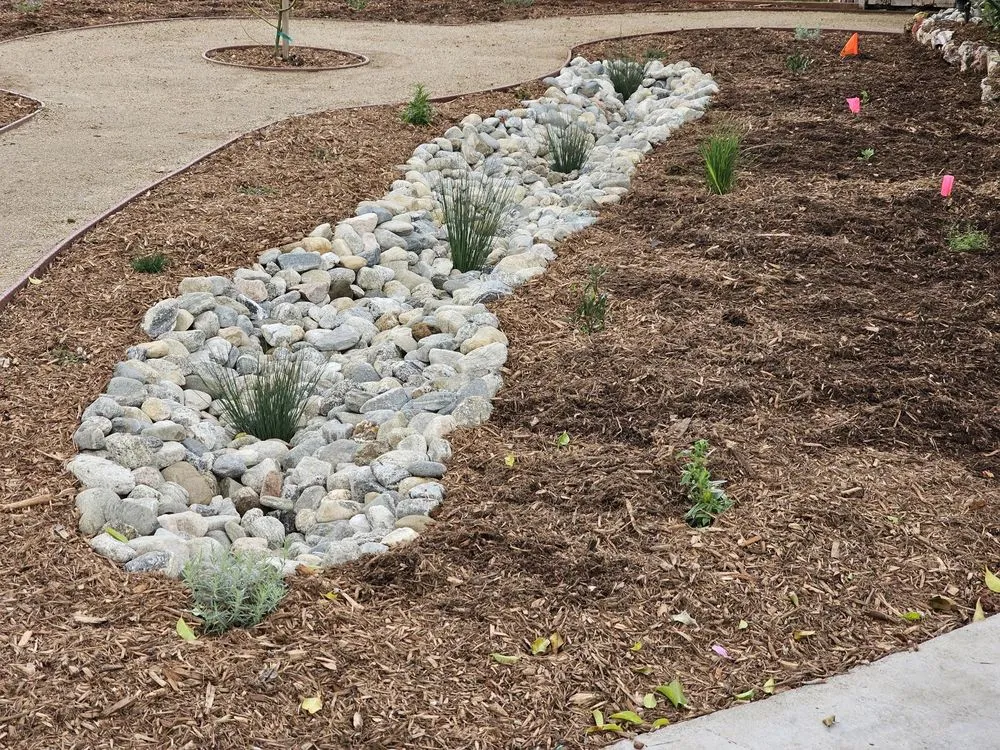 Local lawn mowing service for beautiful yards across Sunland, CA - General Native Green